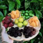 قیمت و خرید اردو خوری 7 خانه گرد قطر 30 سانت - Image 4