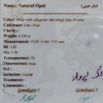 قیمت و خرید انگشتر مردانه اوپال طبیعی دراگون با شناسنامه GIAE | هدیه تولد | کادو روز مرد | انگشتر لاکچری | اصل - Image 14